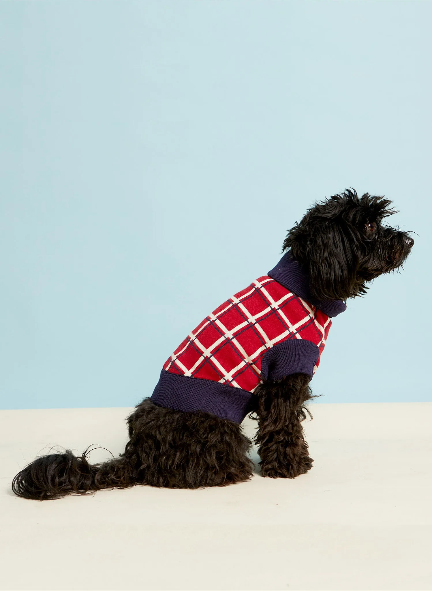 Rodney Dog Jumper - Red Tuck Shop